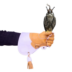 Pack of 10 Falconry Gloves | Nubuck Leather Bird Handling Gloves for Eagles, Hawks & Raptor
